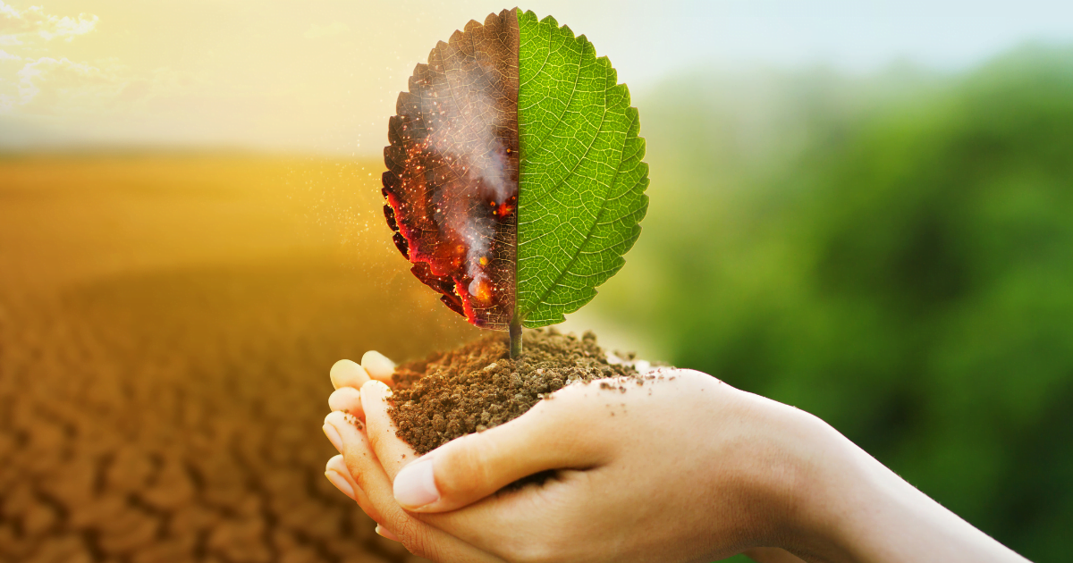 REA Power Reduced Environmental Impact